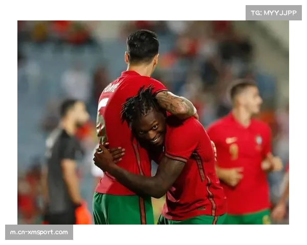 都柏林大雨滂沱,葡萄牙热身训练临时取消 都柏林大雨滂沱,葡萄牙热身训练临时取消